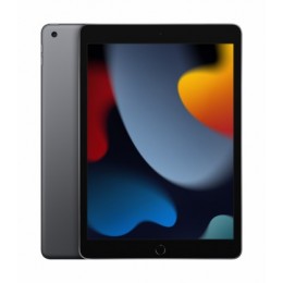 Apple iPad 9th Gen 10.2 256GB Wi-Fi Space Grey MK2N3HC/A