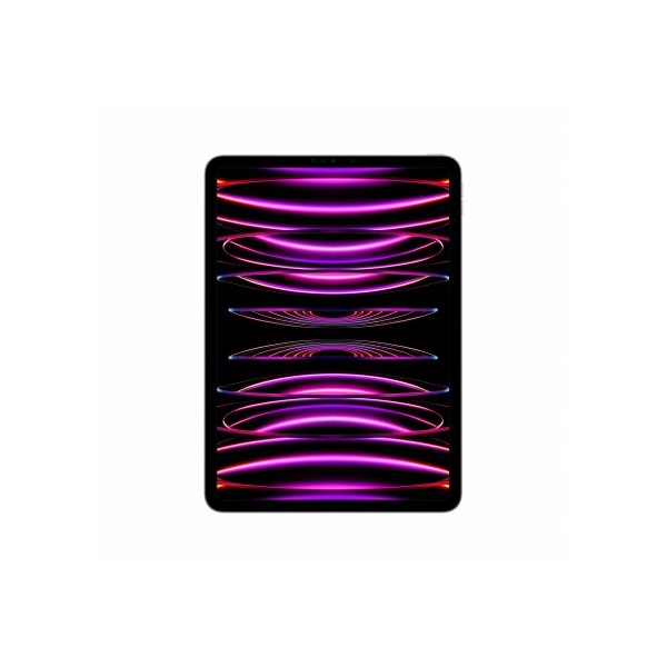 Apple iPad Pro 11" Wi-Fi 512GB Space Gray 4th Gen MNXH3HC A