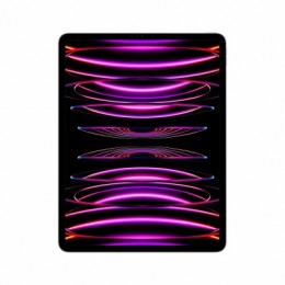 Apple iPad Pro 12.9" Wi-Fi+Cellular 128GB Space Gray 6th Gen MP1X3HC/A