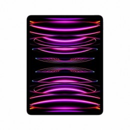 Apple iPad Pro 12.9" Wi-Fi 128GB Space Gray 6th Gen MNXP3HC/A