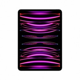 Apple iPad Pro 11" Wi-Fi 1TB Space Gray 4th Gen MNXK3HC/A