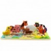 Деревянная головоломка Tooky Toy Pets Farm Match the Shapes