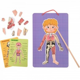 Tooky mänguasi, puidust magnetiline pusle Inimese anatoomiat õppiv 78el.